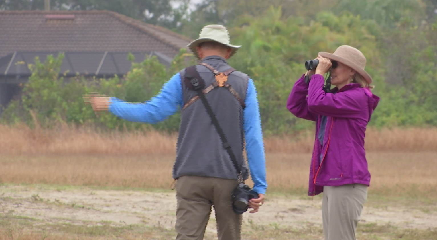 birdwatching cape coral