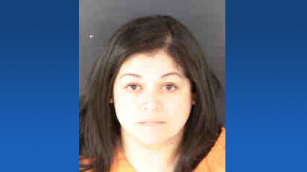 Punta Gorda woman charged in fatal wrong-way crash