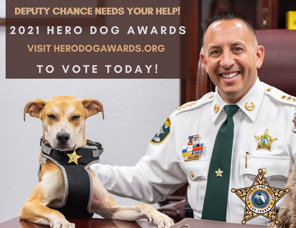 Vote for Lee County 'Deputy Dog' Chance to win 2021 Hero Dog award