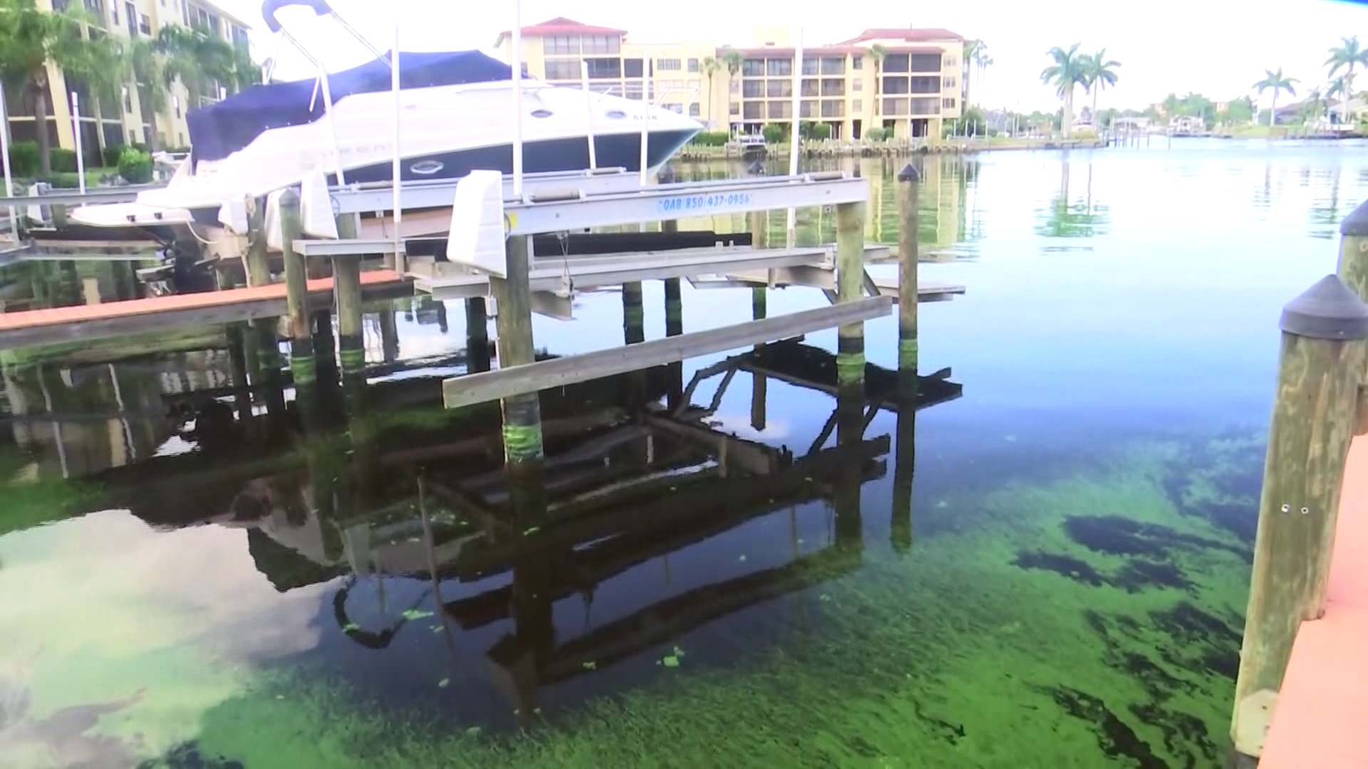 Water quality activists push state for toxin-measuring standards - Wink News