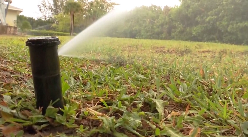 Cape Coral reminding residents of year-round lawn watering schedule - TrendRadars