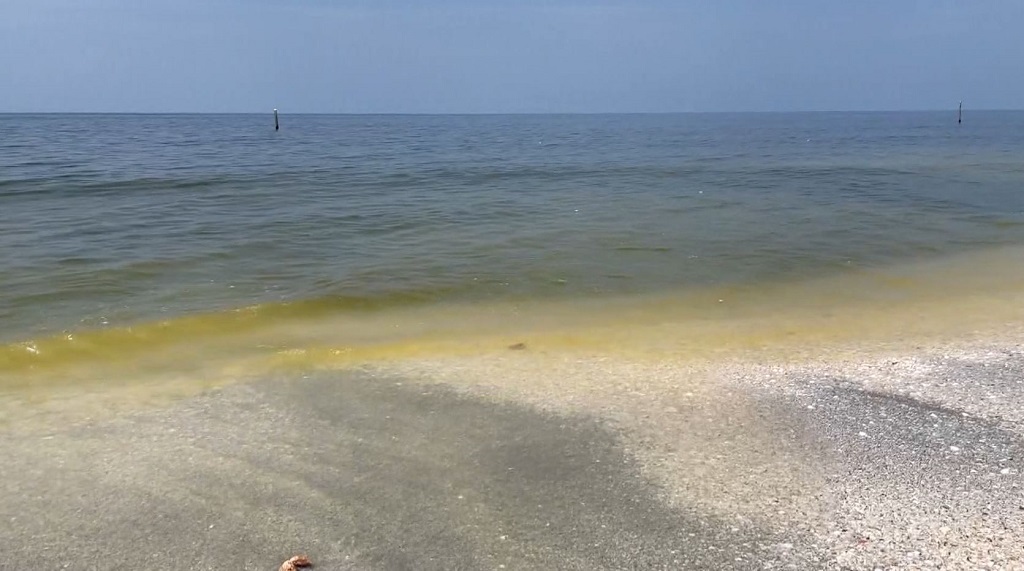 red-tide-noticeable-at-some-charlotte-county-beaches