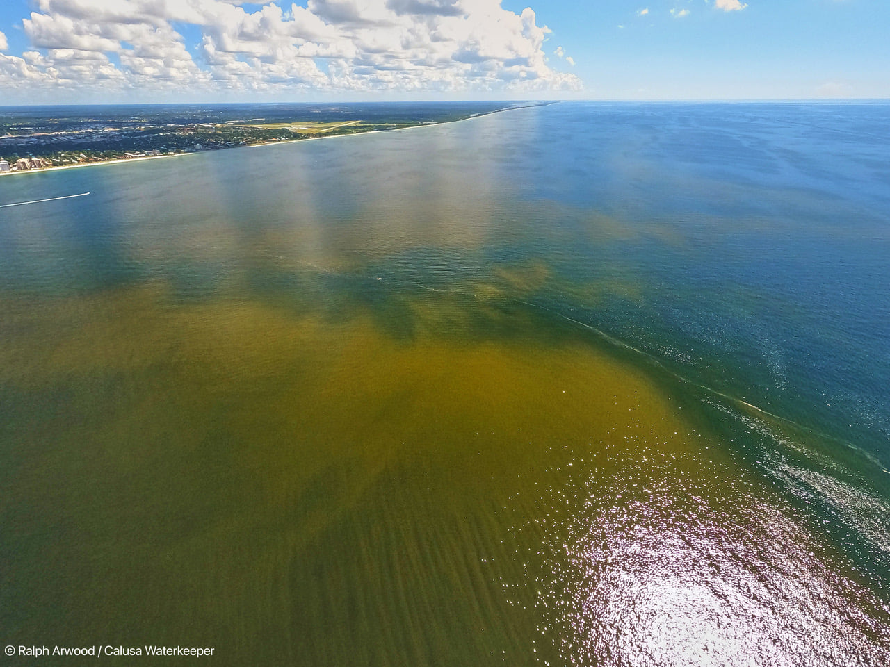 new-photos-show-evident-red-tide-bloom-near-venice-englewood-wink-news