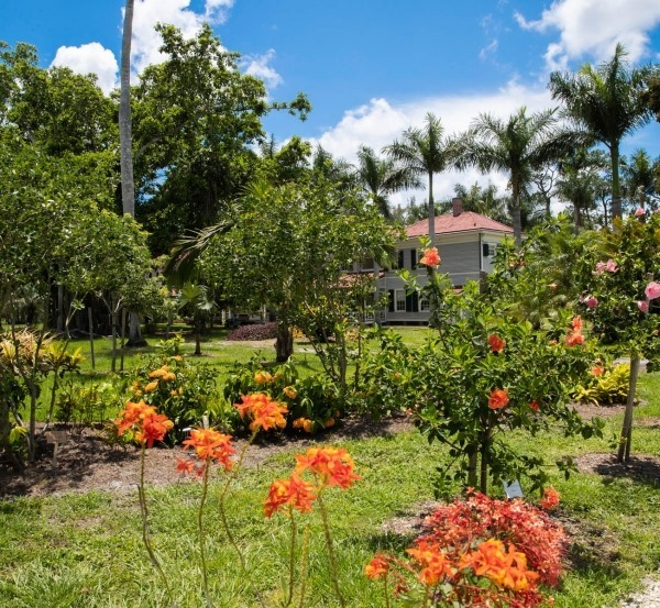 Introduction to Florida Gardening - Part II