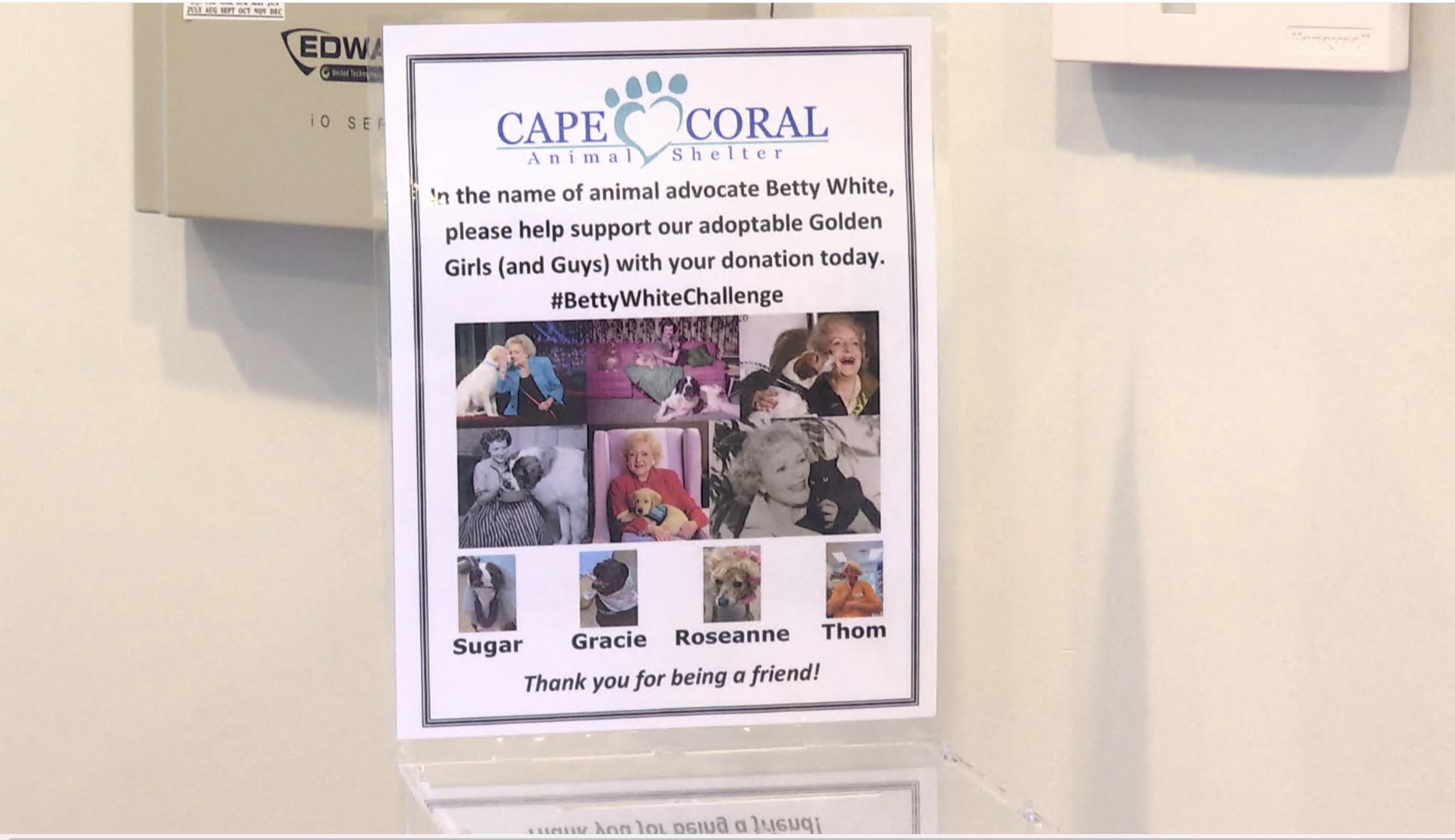 "Betty White Challenge" at Cape Coral Animal Shelter