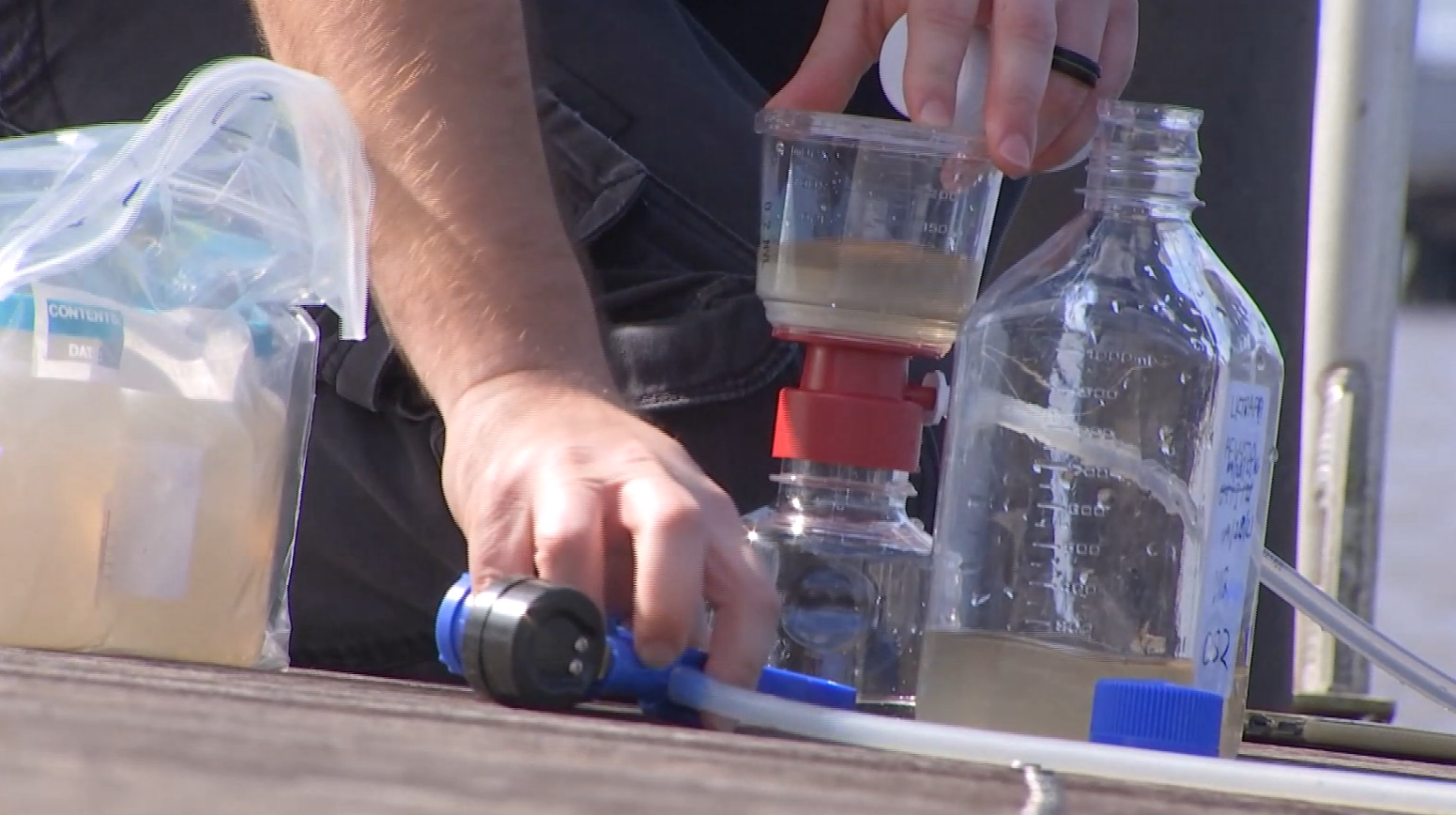 FGCU research at Lake Okeechobee could help protect against algal blooms in SWFL - Wink News