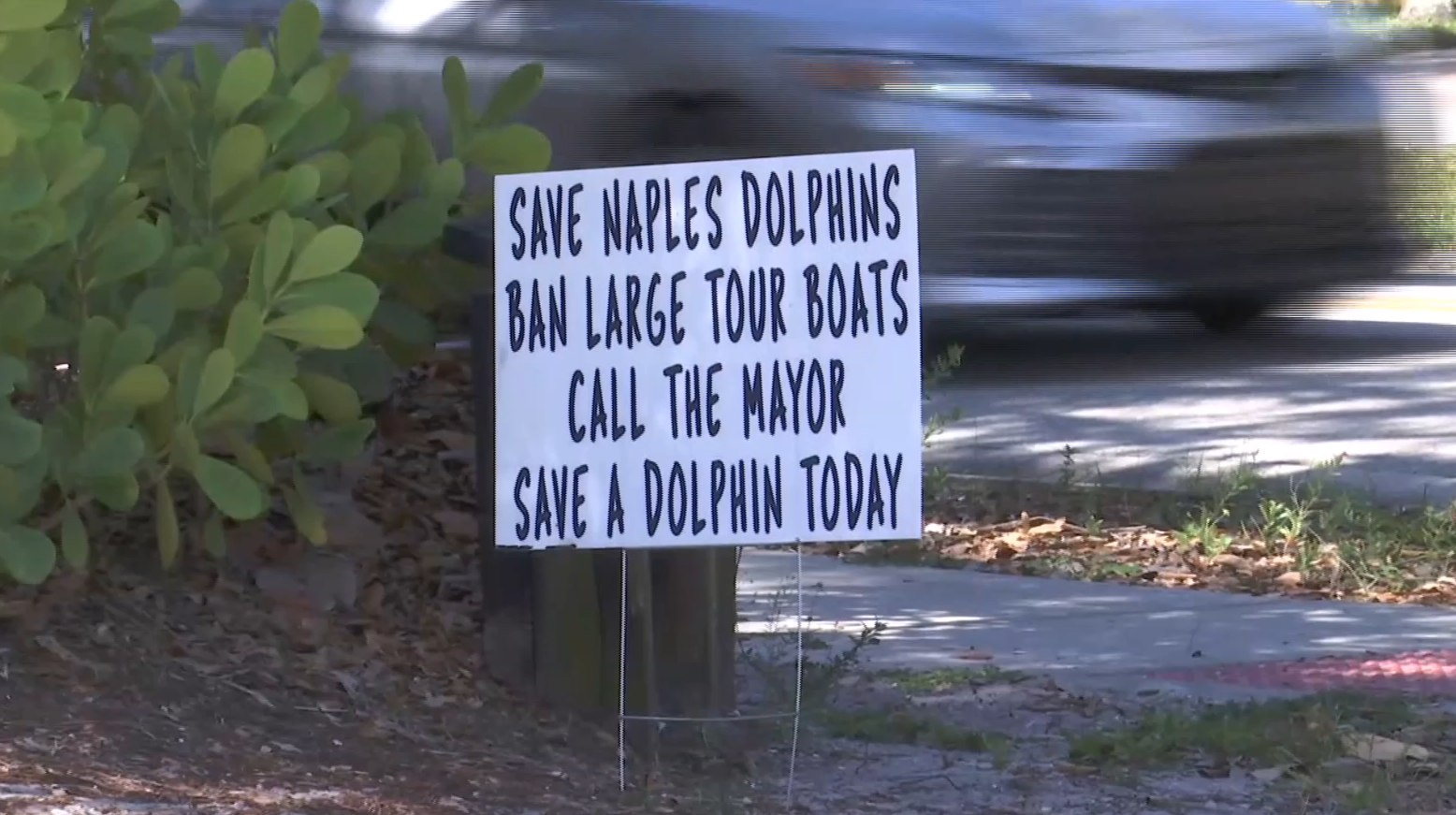 Signs pop up in Collier County neighborhood to save dolphins