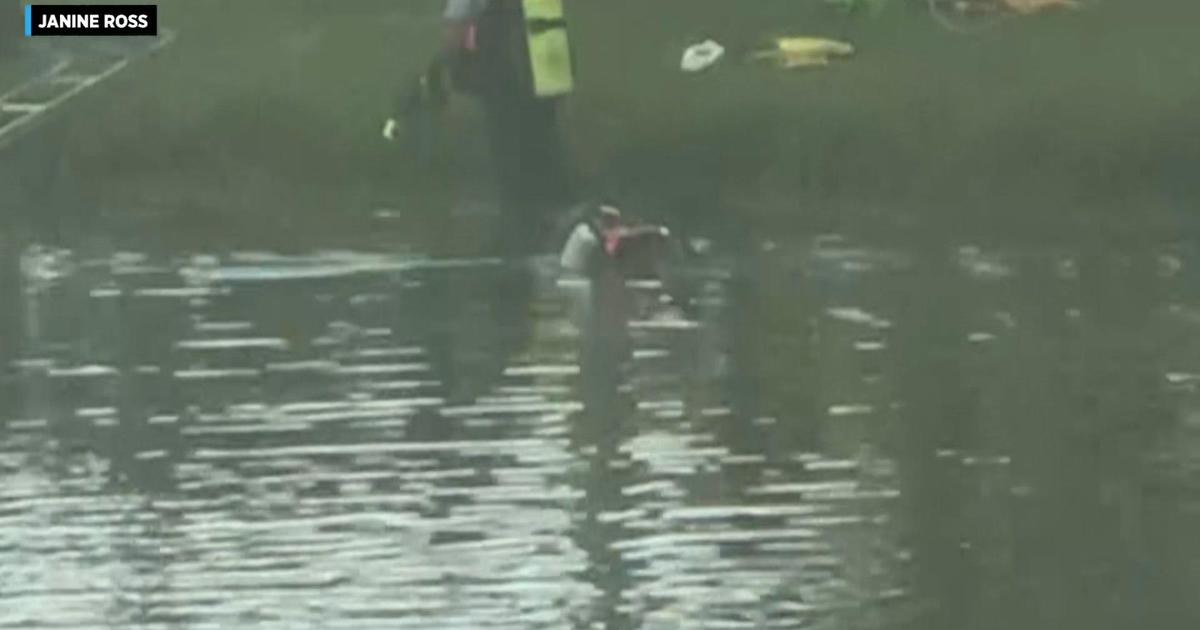 Davie police say a 40-year-old man drowned while trying to save his parrot, which had flown into the retention pond behind his apartment.