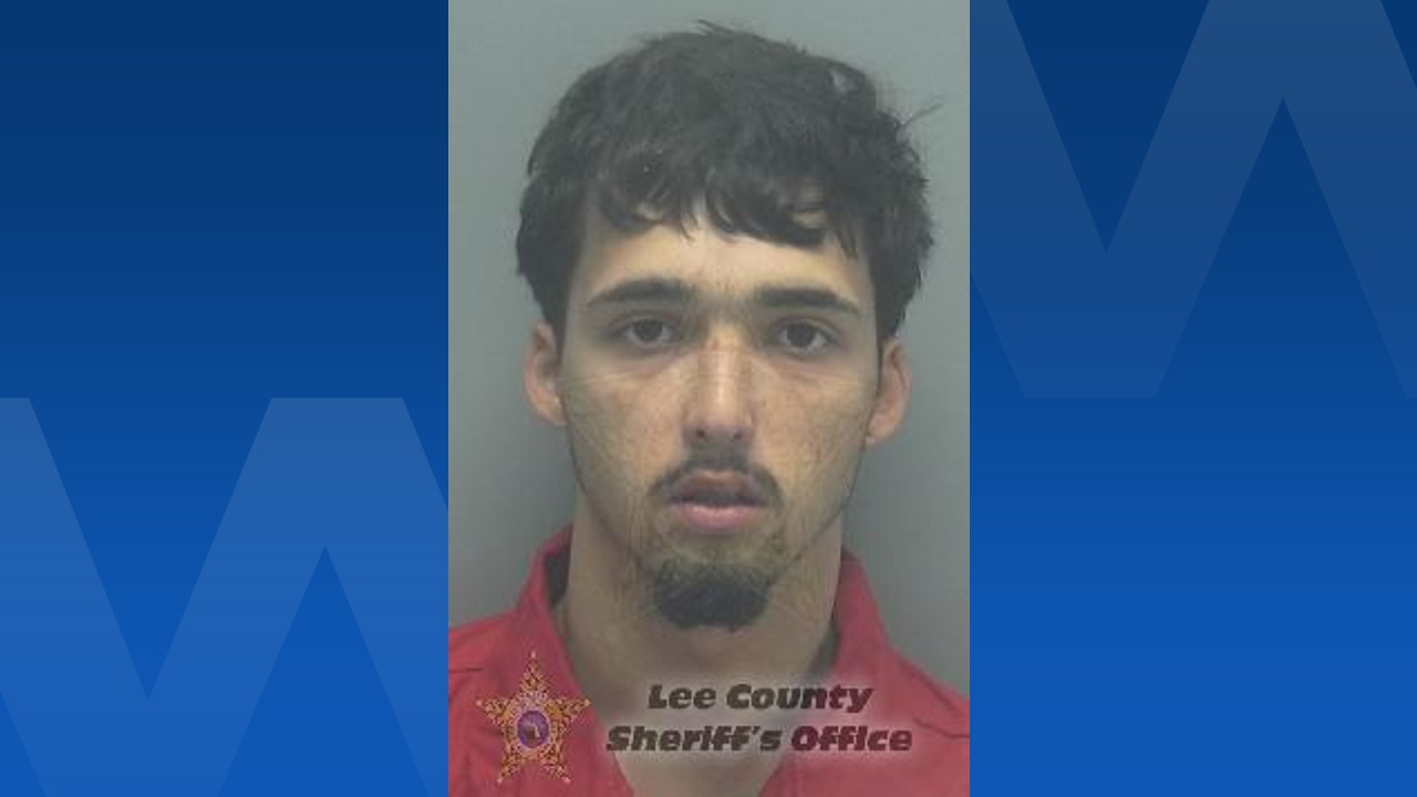 Teen arrested in Cape Coral, accused of burglarizing vehicles