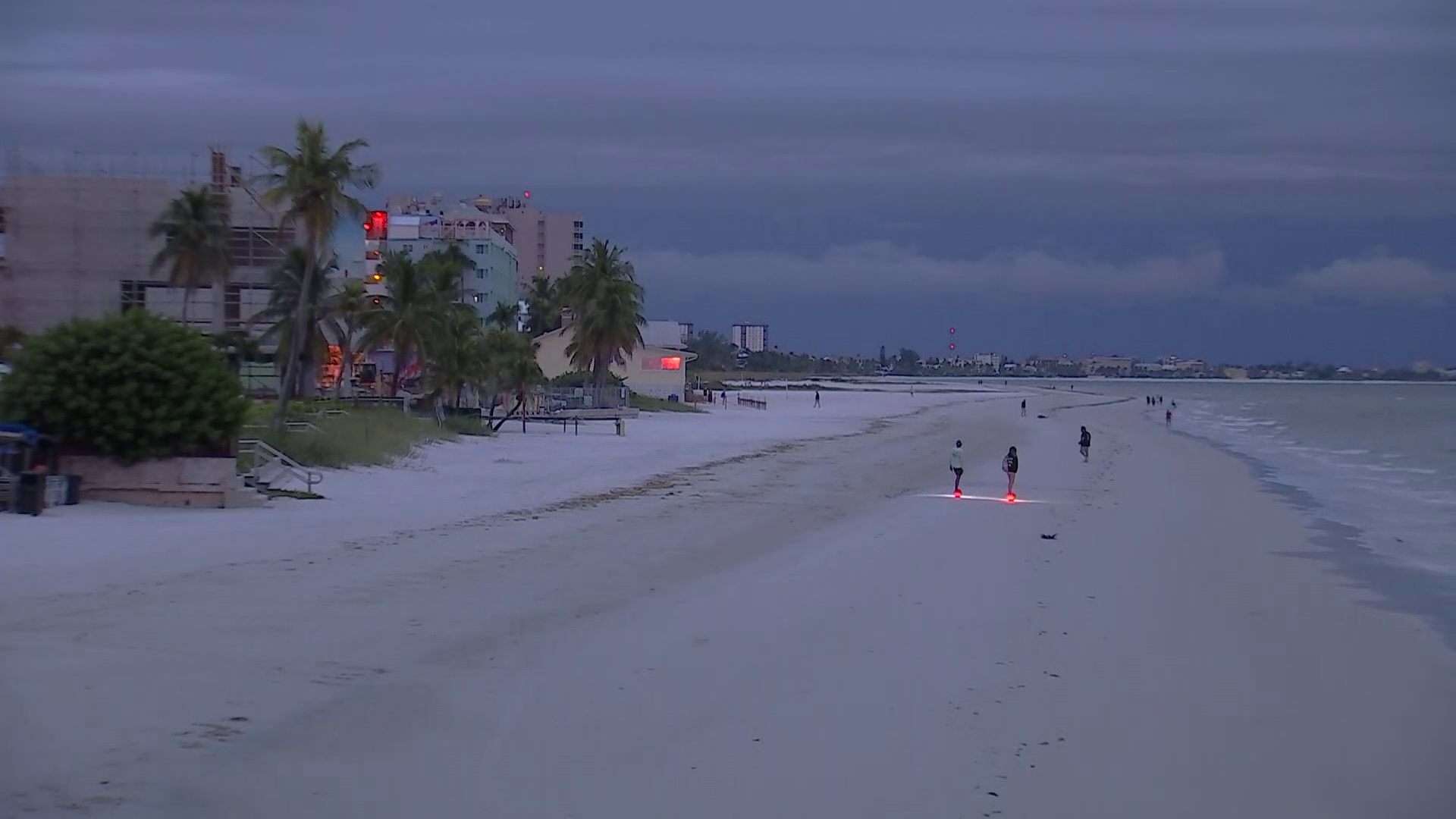 are dogs allowed on ft myers beach