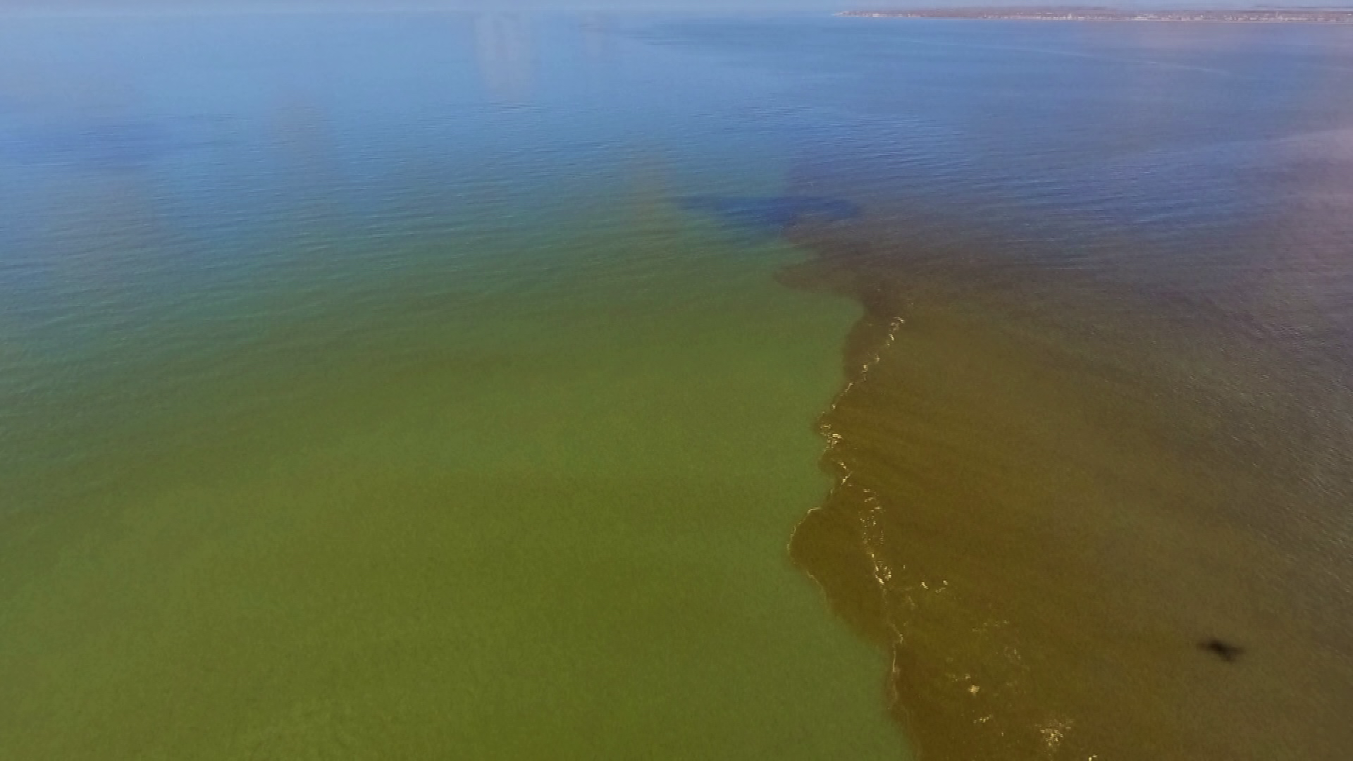 Red tide worsens in Southwest Florida
