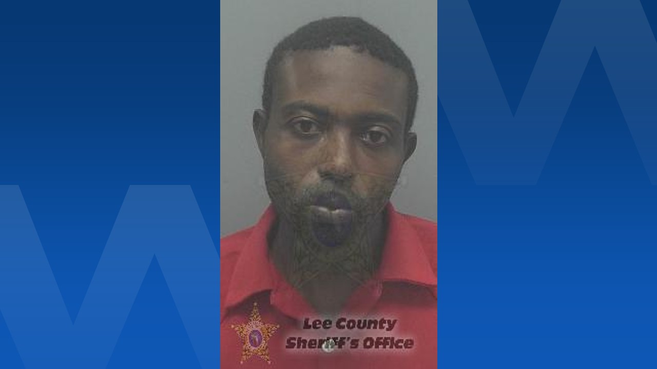 Man arrested after fleeing traffic stop, crashing head-on into Lee County  deputy