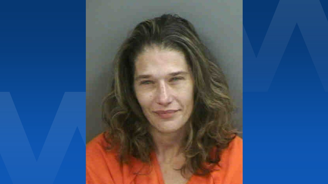 Fentanyl, meth, and more found in Naples woman's vehicle - WINK News