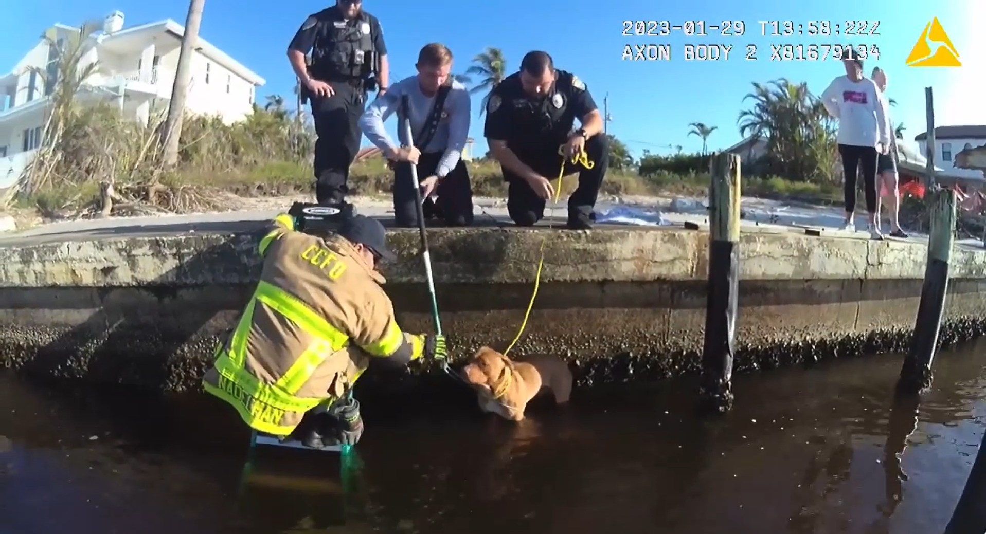 Cape Coral Police and Firefighters Rescue Dog from Canal