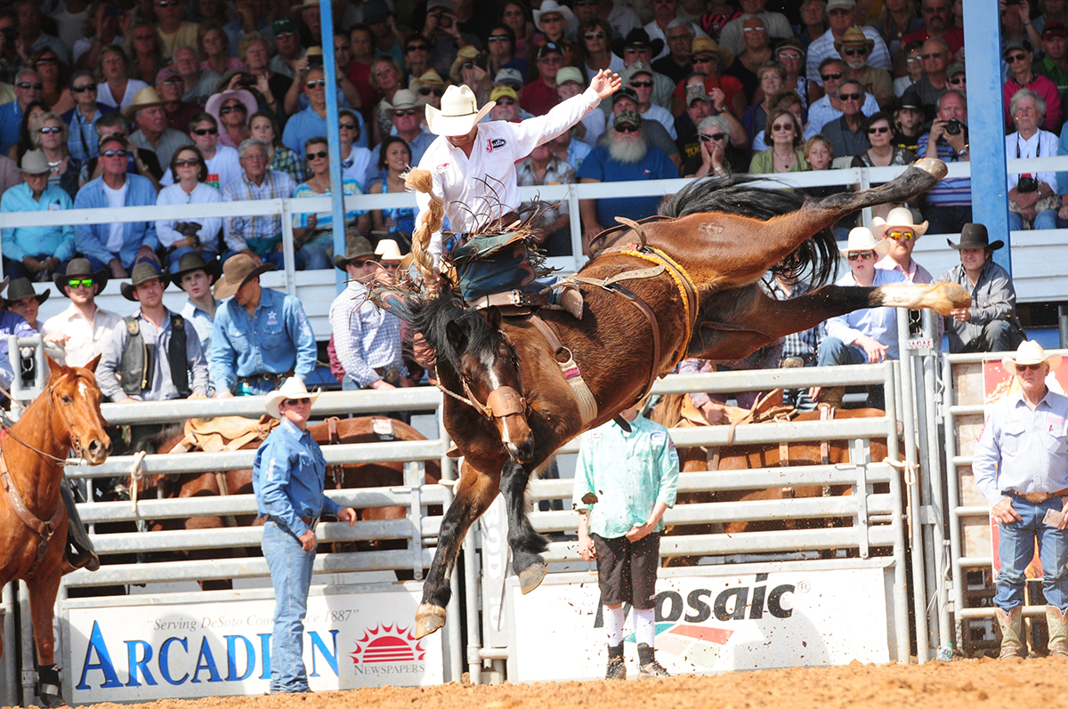 Yeehaw! It's the 87th Arcadia All Florida Championship Rodeo