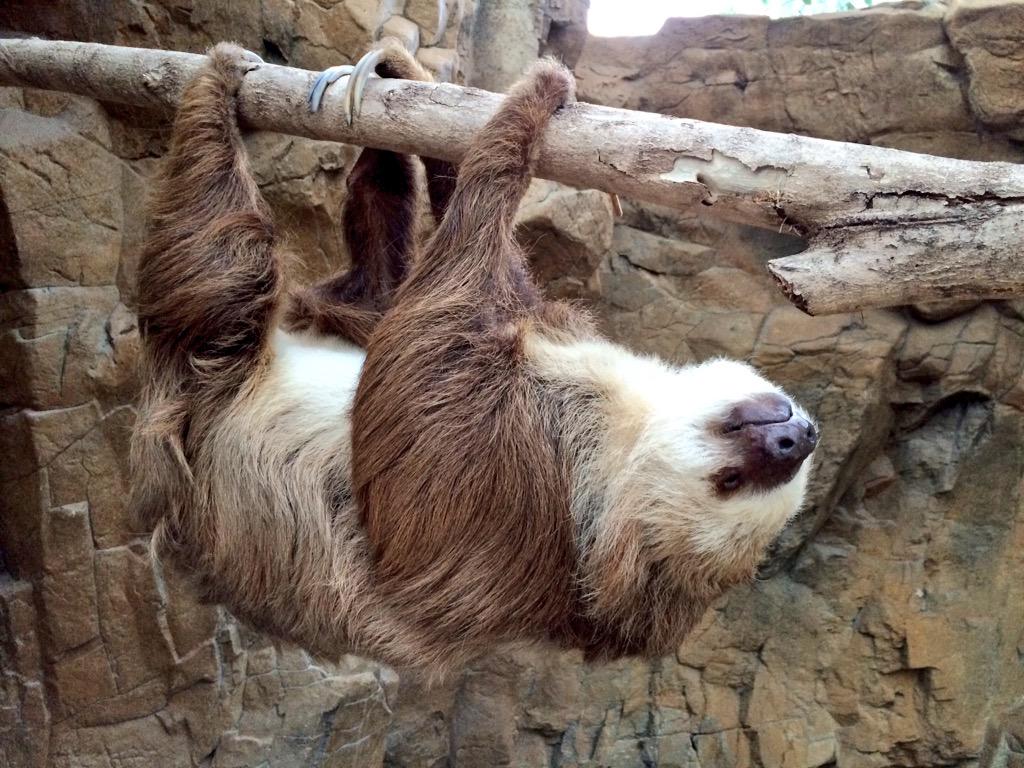 naples-zoo-hosts-endangered-species-day