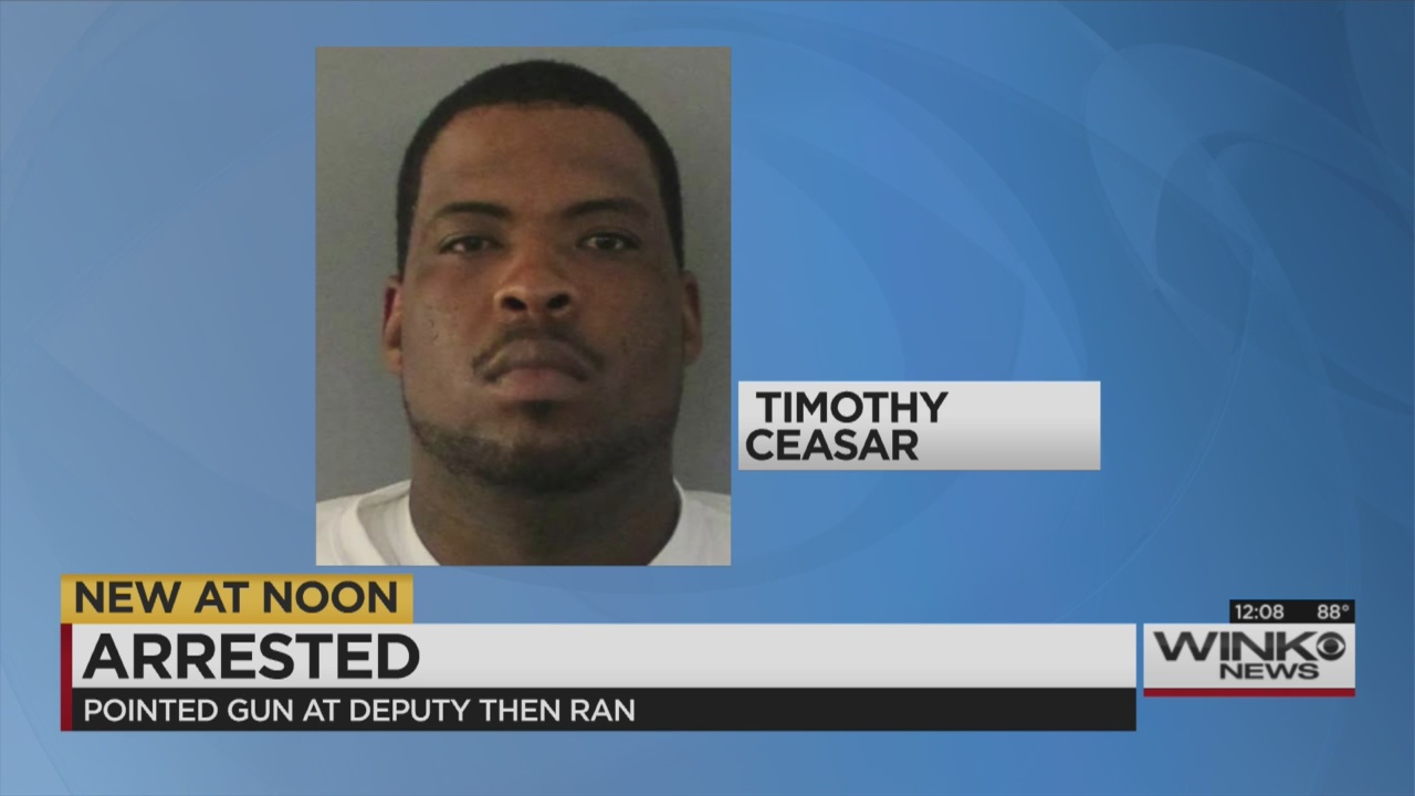 Punta Gorda Man Arrested After Fleeing, Pointing Gun At Deputy